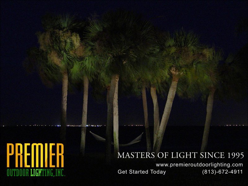 Tampa Landscape Lighting Service in Activity Lighting photo gallery from Premier Outdoor Lighting