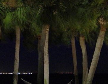 Tampa Landscape Lighting Service 