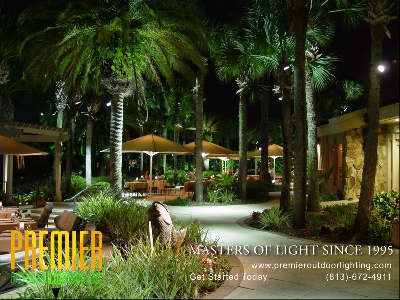 Wesley Chapel Landscape Lighting Company in Activity Lighting photo gallery from Premier Outdoor Lighting