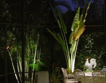 Bradenton Outdoor Lighting Repair