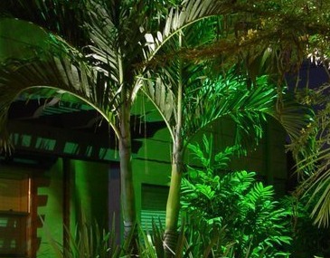 Outdoor Colored Lighting Techniques  - Company Projects