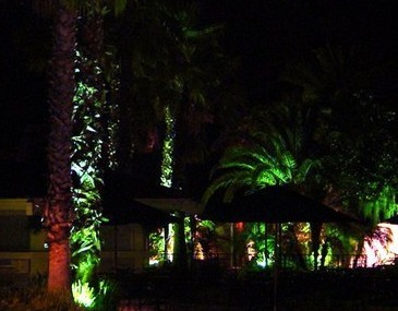 Outdoor Colored Lighting Techniques  - Company Projects