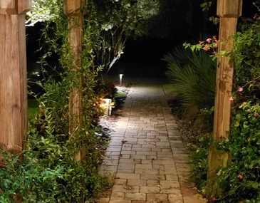 Outdoor Colored LED Lighting Company Near Me