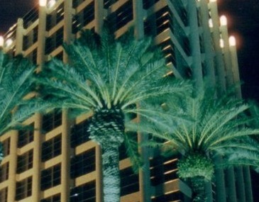 Commercial Outdoor Lighting Techniques - Tampa