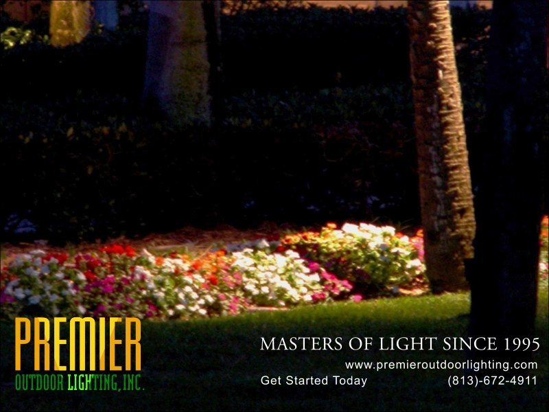 Feature Lighting Techniques  - Company Projects in Feature Lighting photo gallery from Premier Outdoor Lighting