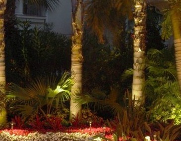 Garden Lighting Techniques  - Company Projects