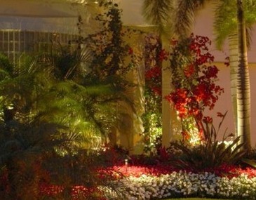 Garden Lighting Techniques  - Company Projects