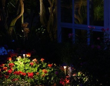 Garden Lighting Techniques  - Company Projects