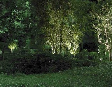 Garden Lighting Techniques  - Company Projects