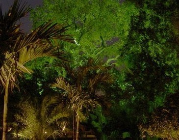 Landscape Lighting Techniques  - Company Projects