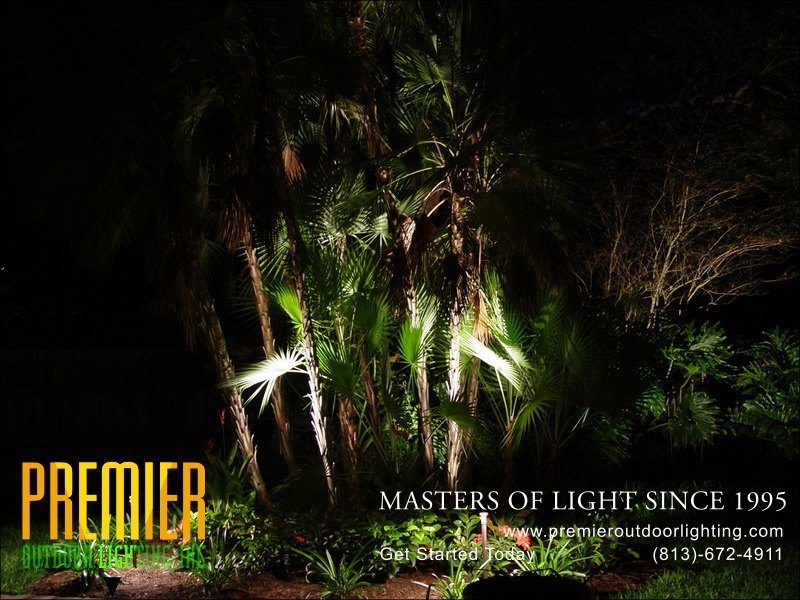 Landscape Lighting Techniques  - Company Projects in Landscape Lighting photo gallery from Premier Outdoor Lighting