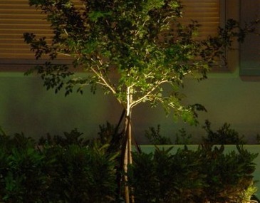 Landscape Lighting Techniques  - Company Projects