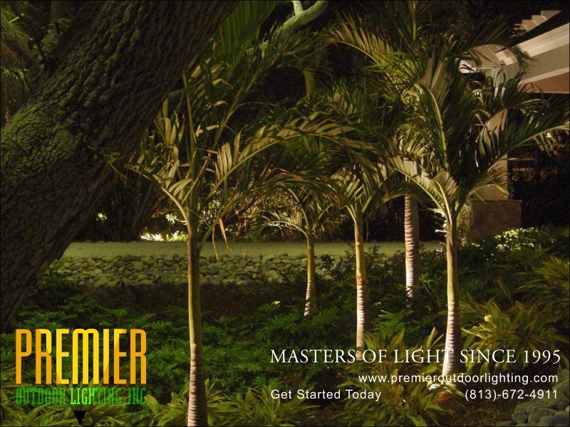 Landscape Lighting Techniques  - Company Projects in Landscape Lighting photo gallery from Premier Outdoor Lighting