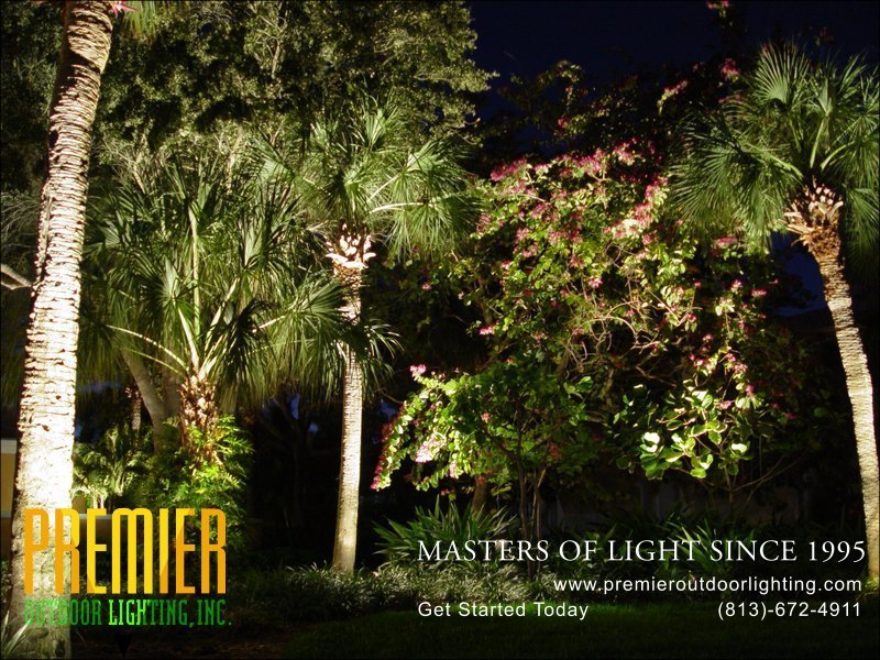 Landscape Lighting Techniques  - Company Projects in Landscape Lighting photo gallery from Premier Outdoor Lighting