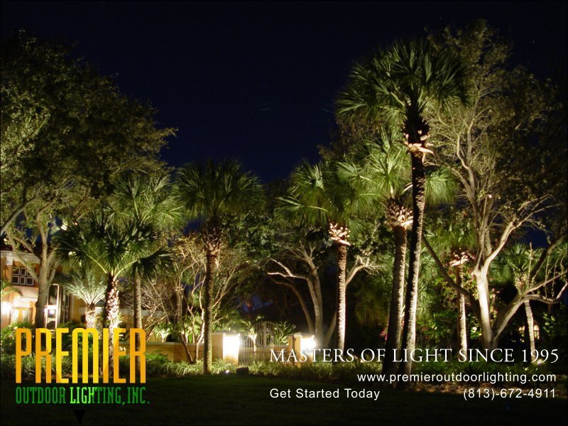 Landscape Lighting Techniques  - Company Projects in Landscape Lighting photo gallery from Premier Outdoor Lighting