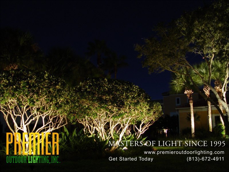 Landscape Lighting Techniques  - Company Projects in Landscape Lighting photo gallery from Premier Outdoor Lighting
