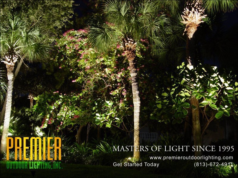 Landscape Lighting Techniques  - Company Projects in Landscape Lighting photo gallery from Premier Outdoor Lighting