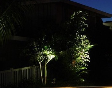 Landscape Lighting Techniques  - Company Projects