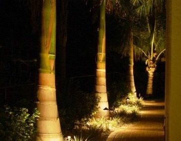 Outdoor Path Lighting Techniques  - Company Projects