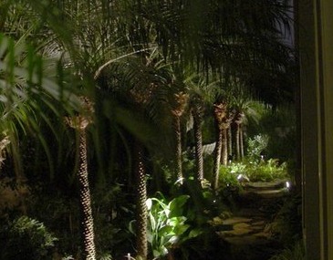 Outdoor Path Lighting Techniques  - Company Projects