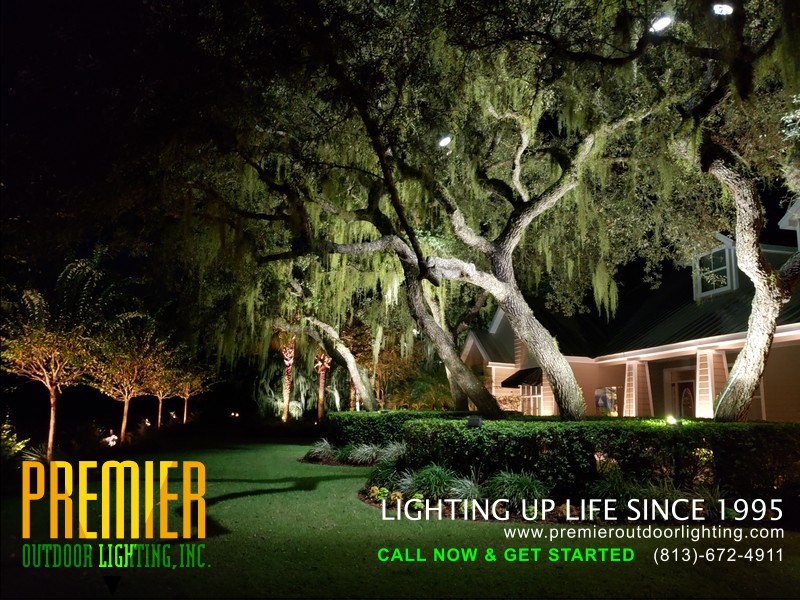 Landscape Lighting Repair Tampa in Residential Outdoor Lighting photo gallery from Premier Outdoor Lighting