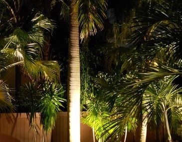 Landscape Lighting Repair South Tampa