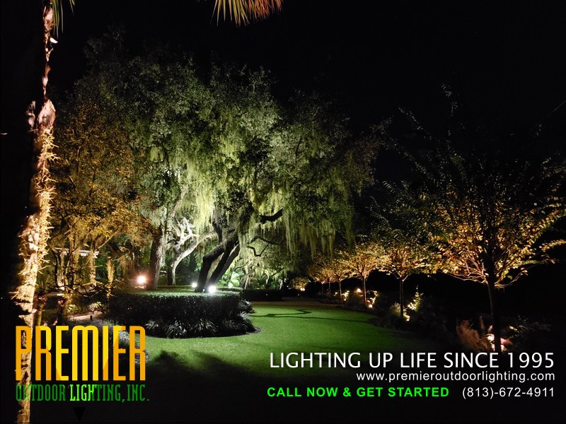 Landscape Lighting in Tampa in Residential Outdoor Lighting photo gallery from Premier Outdoor Lighting