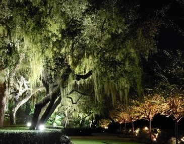 Landscape Lighting in Tampa