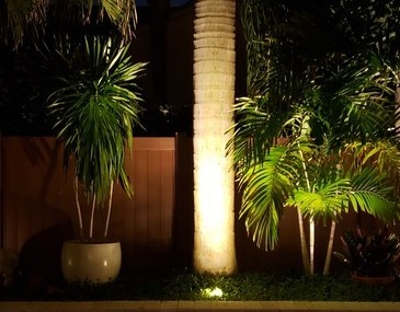 Tampa Landscape Lighting Repair