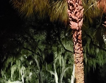 Tampa Landscape Lighting Services