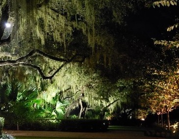 Tampa Outdoor Lighting Services