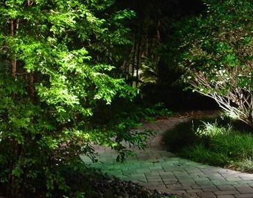 Outdoor Spot Lighting Techniques  - Company Projects