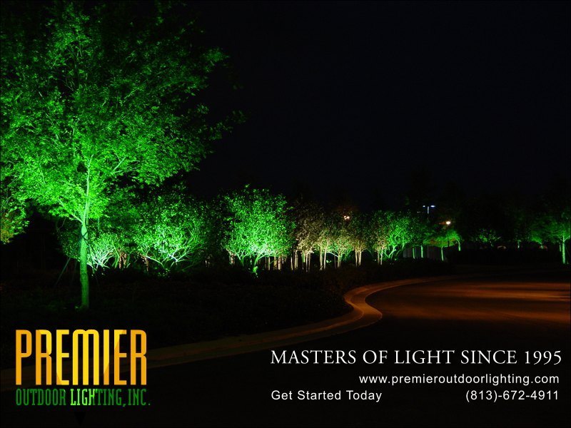 Tree Lighting Techniques  - Company Projects in Tree Lighting photo gallery from Premier Outdoor Lighting