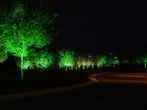 Tree Lighting Techniques  - Company Projects