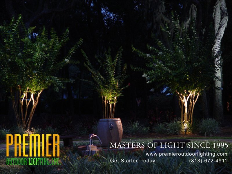 Tree Lighting Techniques  - Company Projects in Tree Lighting photo gallery from Premier Outdoor Lighting