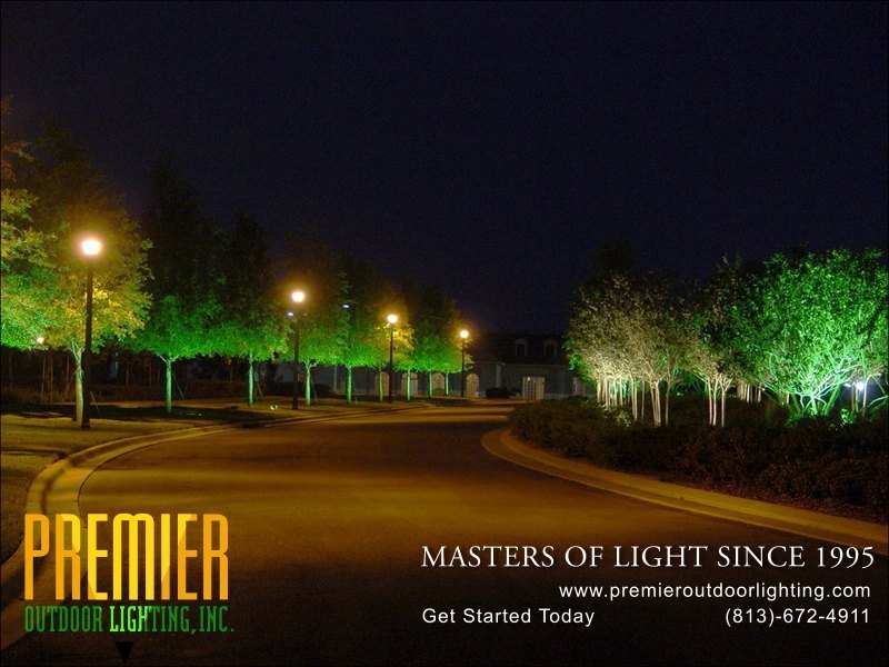 Tree Lighting Techniques  - Company Projects in Tree Lighting photo gallery from Premier Outdoor Lighting