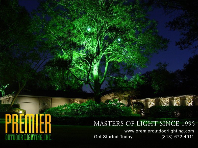 Tree Lighting Techniques  - Company Projects in Tree Lighting photo gallery from Premier Outdoor Lighting